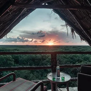 Hidden Treehouse Eco-hotel Hotel